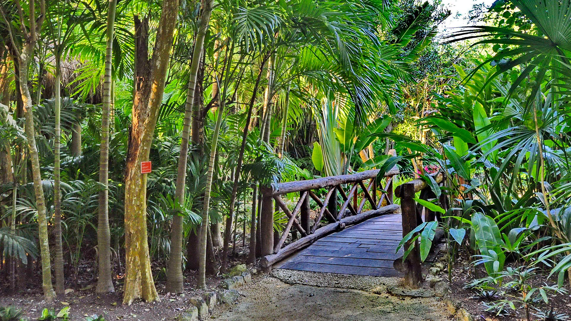Mexique : La perle de la biodiversité
