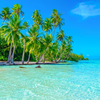 Trésors de Tahiti en croisière