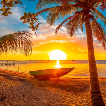 Sous le soleil du Texas et croisière dans les Caraïbes de l'Ouest